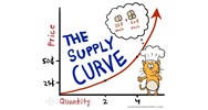 Đường cung (supply curve) là gì ?