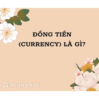 Đồng tiền (currency) là gì ?