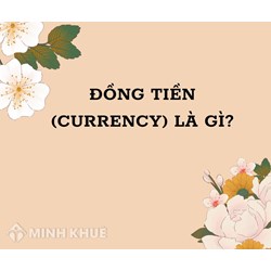 Đồng tiền (currency) là gì ?