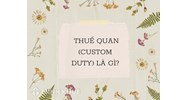 Thuế quan (custom duty) là gì ?