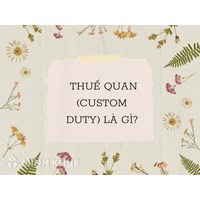 Thuế quan (custom duty) là gì ?