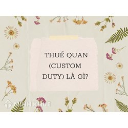 Thuế quan (custom duty) là gì ?