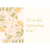 Tối ưu hoá (optimizing) là gì ?