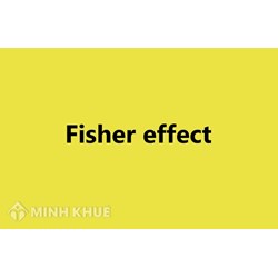 Hiệu ứng Fisher quốc tế (international Fisher effect) là gì ?
