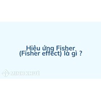 Hiệu ứng Fisher (Fisher effect) là gì ?