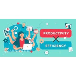 Hiệu quả sản xuất (productive efficiency) là gì ?