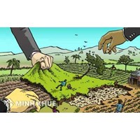 Nội dung Hướng dẫn số 22/HD-VKSTC về hướng dẫn một số nội dung liên quan đến công tác kiểm sát việc giải quyết các vụ án hành chính trong lĩnh vực đất đai