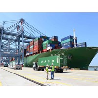 Dịch vụ logistics bao gồm chuỗi các dịch vụ?