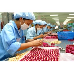 Pháp luật về thuế nhập khẩu của nước ta?