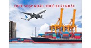 Những yếu tố ảnh hưởng đến việc thực thi pháp luật thuế nhập khẩu trong năm 2013