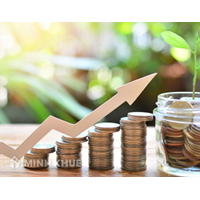 Chuyển nhượng phần vốn góp trong công ty TNHH hai thành viên trở lên như thế nào?