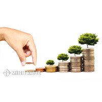 Bàn luận về đặc điểm của đầu tư nước ngoài