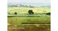 Phân biệt hình thức giao đất có thu tiền sử dụng đất và hình thức cho thuê đất?