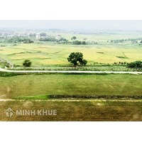 Phân biệt hình thức giao đất có thu tiền sử dụng đất và hình thức cho thuê đất?