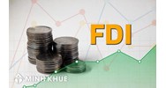 Bàn luận về đầu tư trực tiếp nước ngoài (FDI)