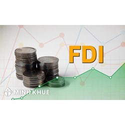 Bàn luận về đầu tư trực tiếp nước ngoài (FDI)