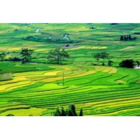 Giải quyết quyền lợi của người dân khi nhà nước thu hồi đất?