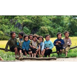 Các Ủy ban của các hiệp ước liên quan tới nhân quyền của Liên Hiệp Quốc