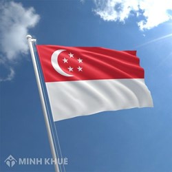 Singapore và thực trạng về cơ chế bảo vệ quyền con người 