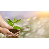Định nghĩa Cơ chế bảo đảm quyền con người