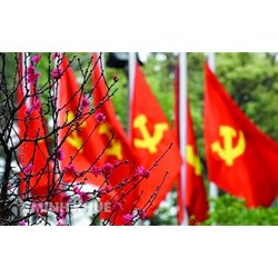 Tác động của Đảng Cộng sản Việt Nam đến cơ chế bảo đảm quyền con người