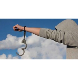 Trả tự do tại phiên tòa xét xử sơ thẩm vụ án hình trong những trường hợp nào?