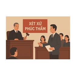 Tính chất của xét xử phúc thẩm trong tố tụng hình sự