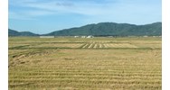 Trách nhiệm của Nhà nước đối với đất đai với tư cách là đại diện chủ sở hữu toàn dân.