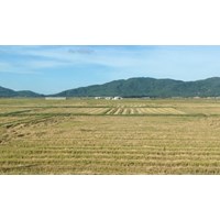 Trách nhiệm của Nhà nước đối với đất đai với tư cách là đại diện chủ sở hữu toàn dân.