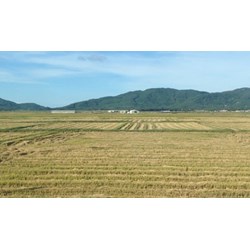 Trách nhiệm của Nhà nước đối với đất đai với tư cách là đại diện chủ sở hữu toàn dân.