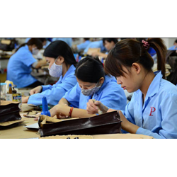 Tư vấn cho công ty thủ tục cần thiết để chấm dứt hợp đồng lao động?