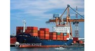 Hàng hóa cấm kinh doanh, tạm ngừng kinh doanh tạm nhập, tái xuất, chuyển khẩu