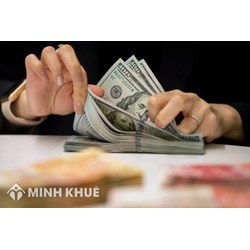  Kinh nghiệm của Hoa Kỳ trong lĩnh vực pháp luật và cam kết quốc tế về đầu tư nước ngoài