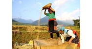  Chính phủ trong vai trò xây dựng thể chế, chính sách, kế hoạch bảo đảm quyền con người
