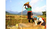  Chính phủ trong vai trò xây dựng thể chế, chính sách, kế hoạch bảo đảm quyền con người
