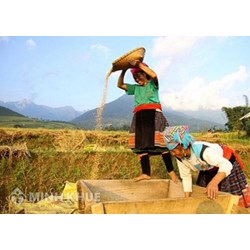  Chính phủ trong vai trò xây dựng thể chế, chính sách, kế hoạch bảo đảm quyền con người