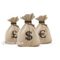 Khung pháp luật quốc tế về đầu tư nước ngoài Việt Nam đã ký kết 