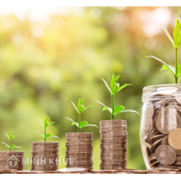 Công ty trách nhiệm hữu hạn một thành viên không được phát hành cổ phần có đúng không?