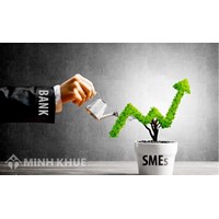 Tổ chức tín dụng là gì? Quy định về giao dịch bảo đảm đối với tổ chức tín dụng.
