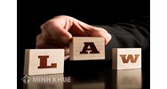 Bảo vệ quyền con người của các tổ chức chính trị - xã hội dưới hình thức đại diện, giám hộ