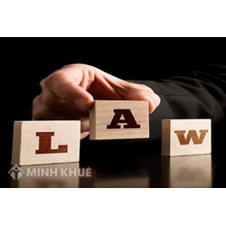 Bảo vệ quyền con người của các tổ chức chính trị - xã hội dưới hình thức đại diện, giám hộ