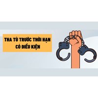 Thủ tục xét tha tù trước thời hạn có điều kiện quy định như thế nào?