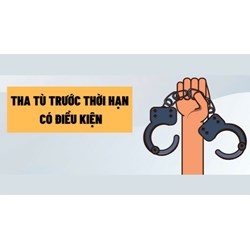 Thủ tục xét tha tù trước thời hạn có điều kiện quy định như thế nào?