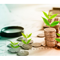 Những đặc điểm chính của sáp nhập doanh nghiệp?