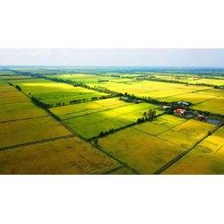 Hạn mức được áp dụng đối với đất nông nghiệp