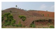 Đất chưa sử dụng gồm những loại đất gì?