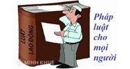 Phạm trù chính sách pháp luật trong hệ thống các phạm trù khác của khoa học pháp lý