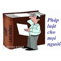 Phạm trù chính sách pháp luật trong hệ thống các phạm trù khác của khoa học pháp lý