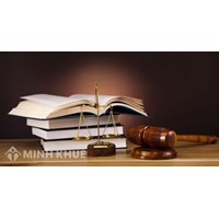 Phân tích các tiểu hệ thống của hệ thống chính sách pháp luật
