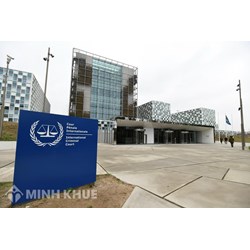 Cơ chế bảo vệ quyền của người bị hại của Liên hợp quốc